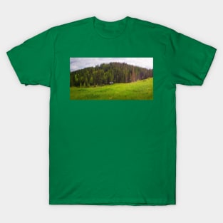Carpathians landscape T-Shirt